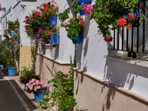 Die verwinkelten mit Blumen geschmückten Gassen des Barrio de los Pescadores, Conil de la Frontera.