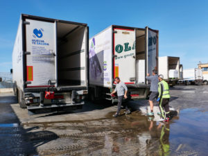 Muelle de la Cofradía Punta Umbría – ersteigert Fisch wird verladen.