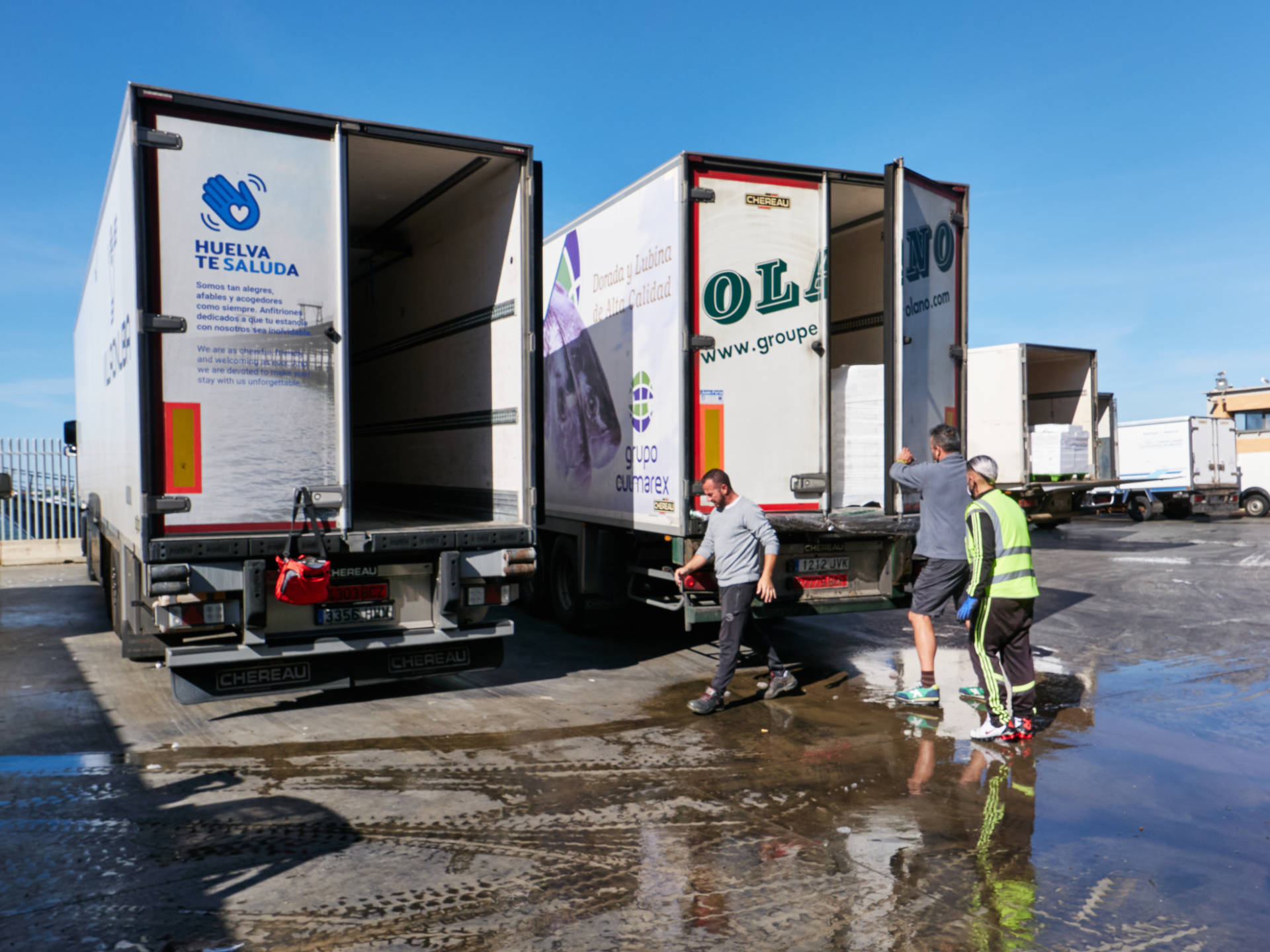 Muelle de la Cofradía Punta Umbría – ersteigert Fisch wird verladen.