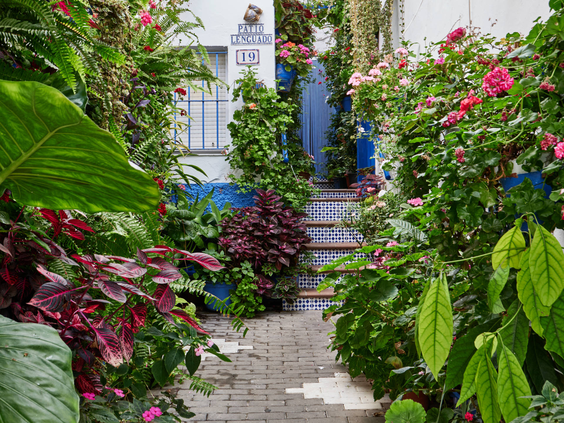 Die verwinkelten mit Blumen geschmückten Gassen des Barrio de los Pescadores, Conil de la Frontera.