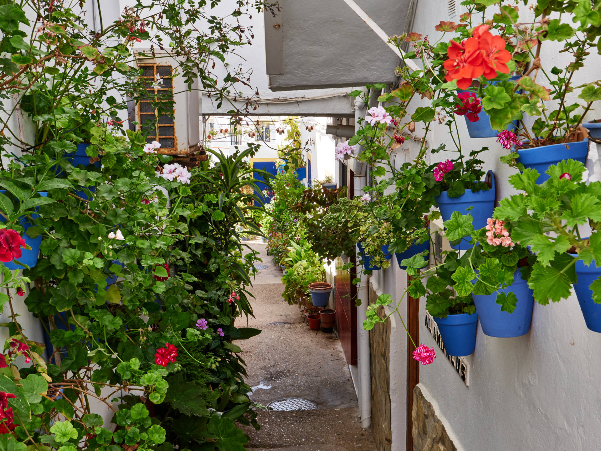 Die verwinkelten mit Blumen geschmückten Gassen des Barrio de los Pescadores, Conil de la Frontera.