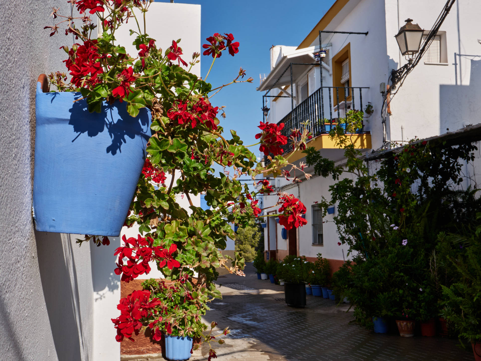 Die verwinkelten mit Blumen geschmückten Gassen des Barrio de los Pescadores, Conil de la Frontera.