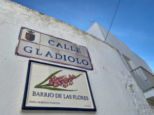 Barrio de las Flores Conil de la Frontera.