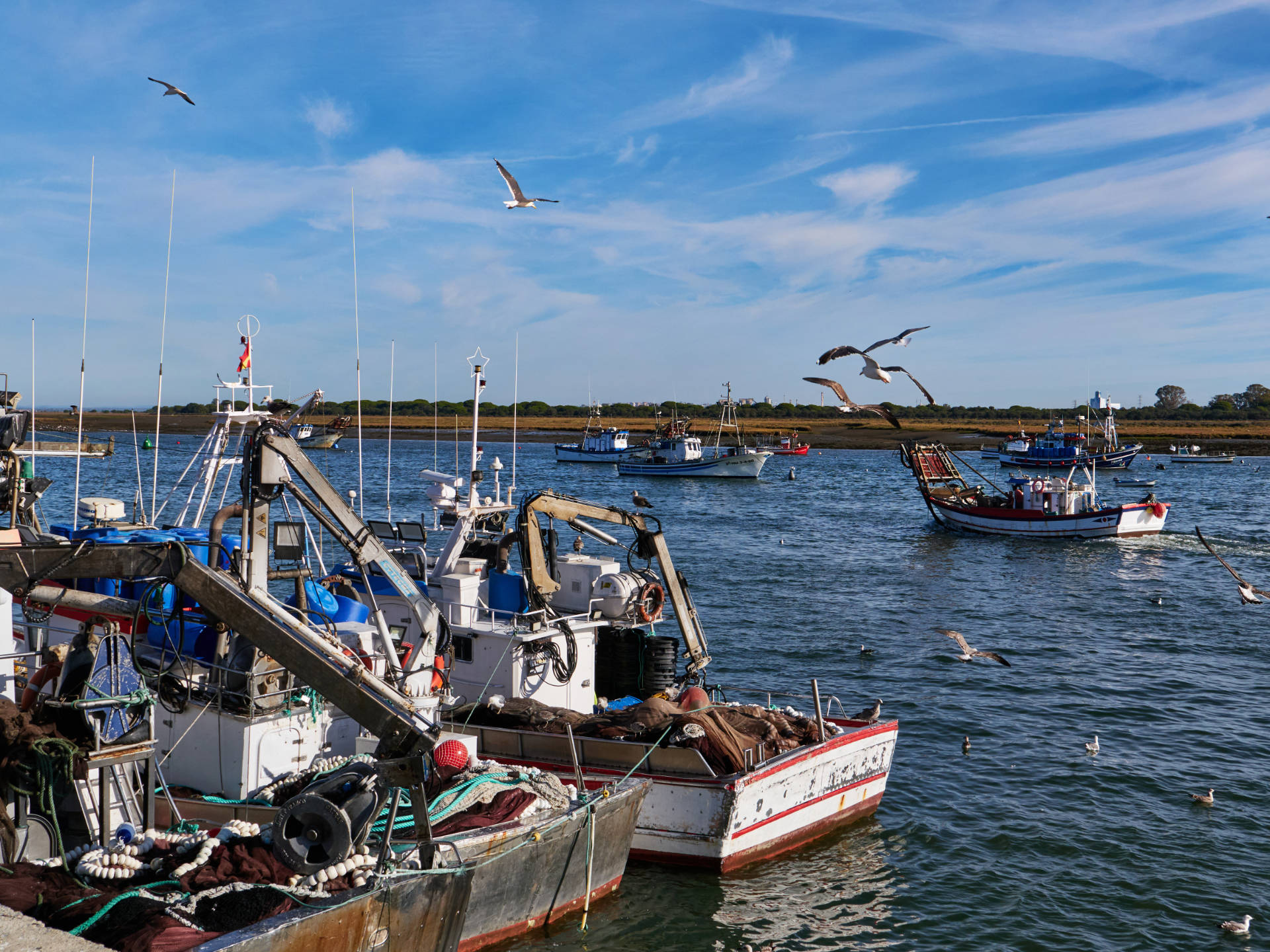 Der Fischereihafen des Punta Umbría.