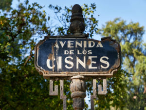 Frühmorgens die herbstliche Avenido de los Cisnes – Parque de María Luisa Sevilla.