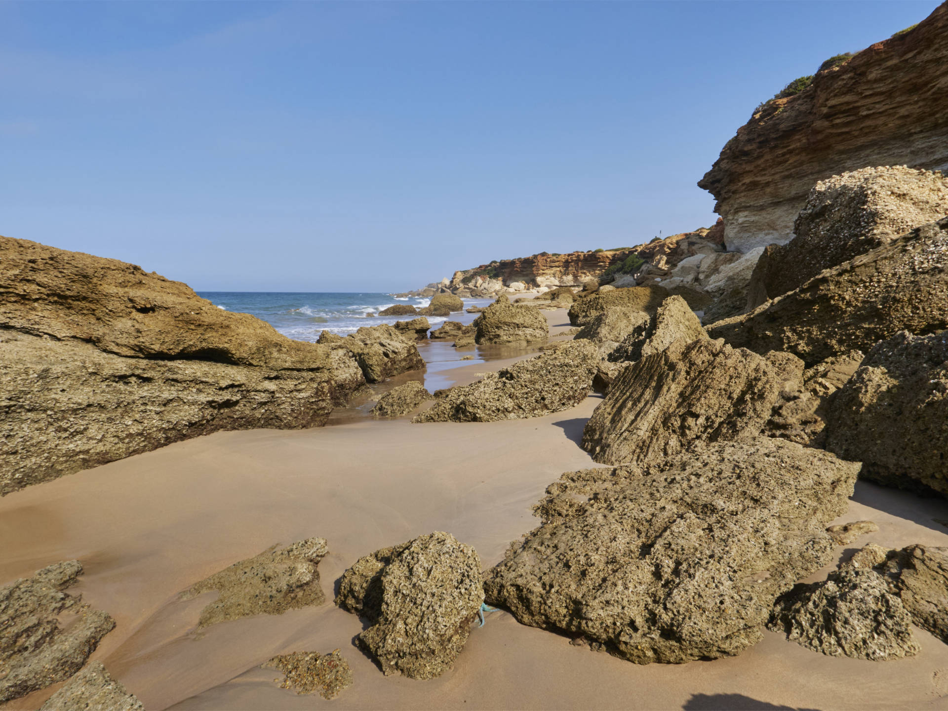 Calas de Roche Conil de la Frontera.