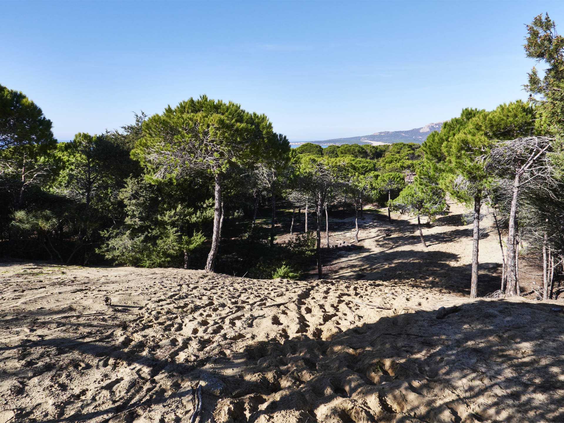 Sendero Europeo Arco Atlántico El Estrecho Tarifa.