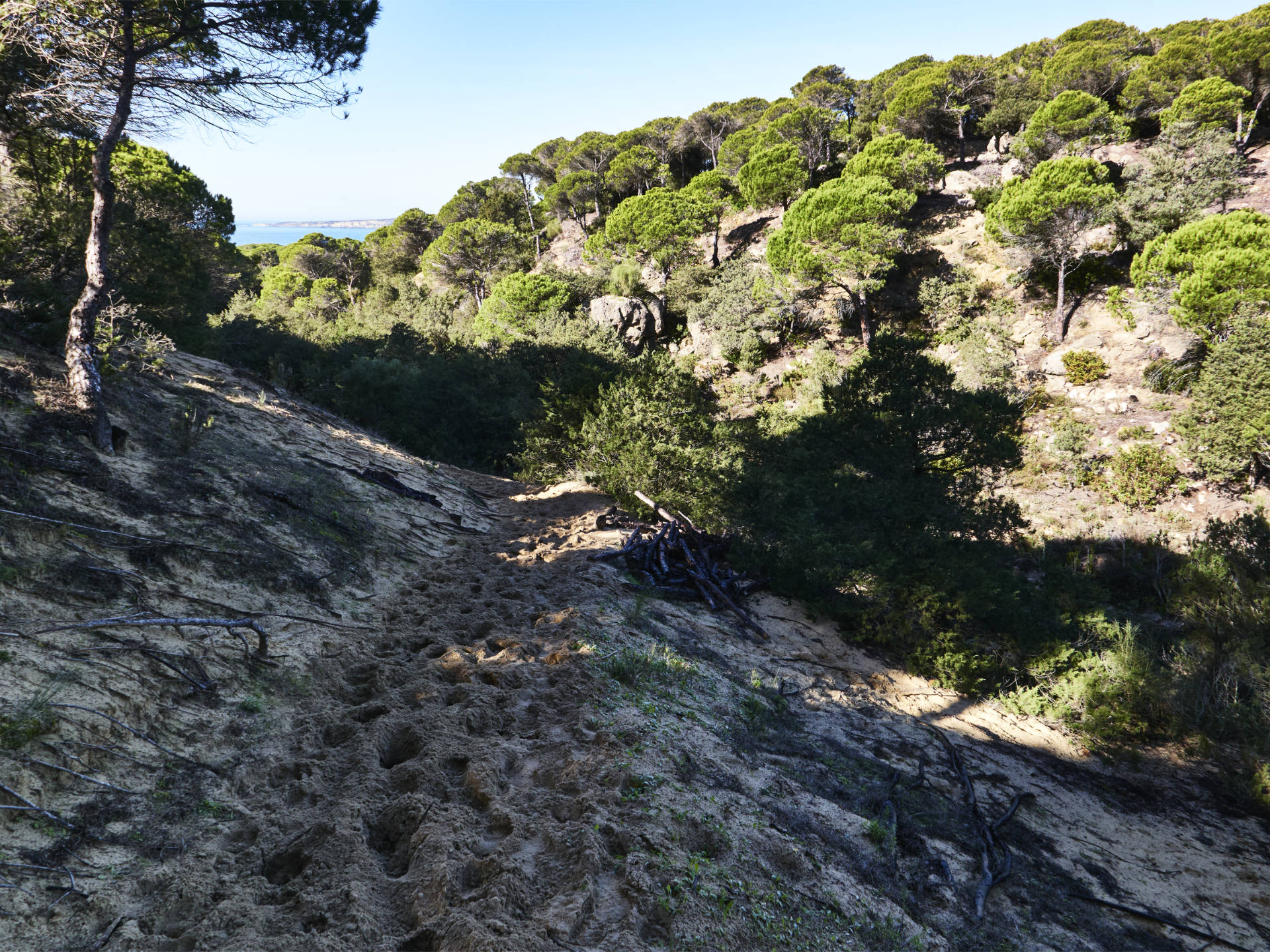 Sendero Europeo Arco Atlántico El Estrecho Tarifa.