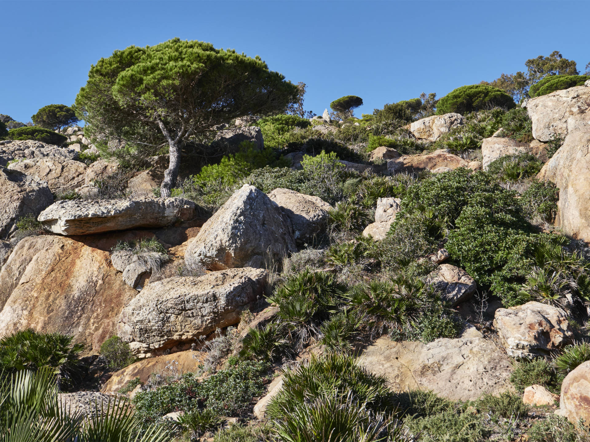 Ausläufer der Betischen Cordilleren am Punta de Gracia Tarifa.