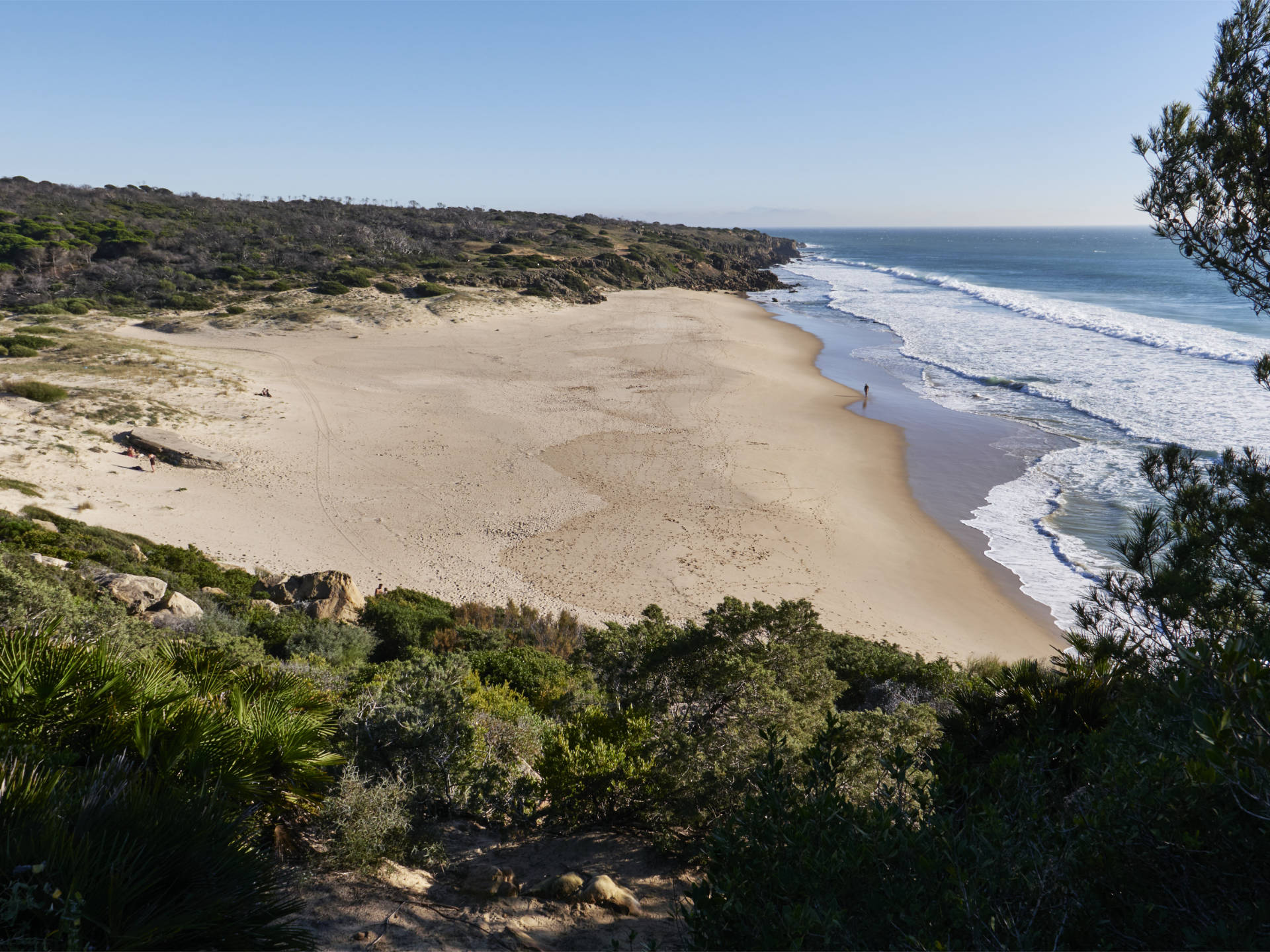 Endstation am falschen Pfad - die acebuche versperrt den Weg zum Playa del Cañuelo.