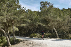 Parque del Garraf Trainingsrevier der Gravel- und Mountainbiker.