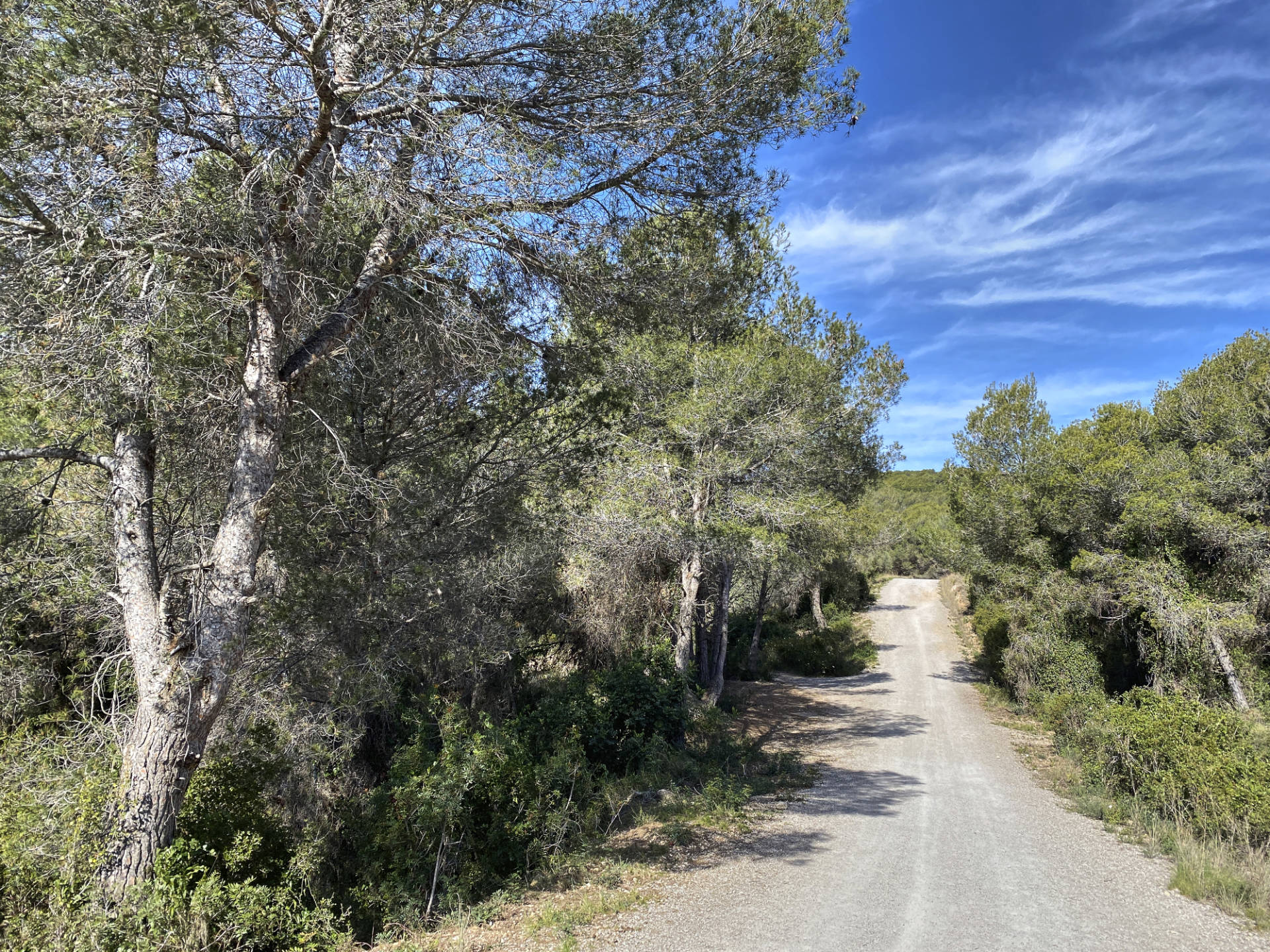 Die Piste durch La Serra dels Paranys von Sitges nach Vilanova i la Geltrú.