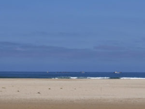 Almadraba im Frühling vor dem Strand Playa de los Bateles Conil de la Frontera.