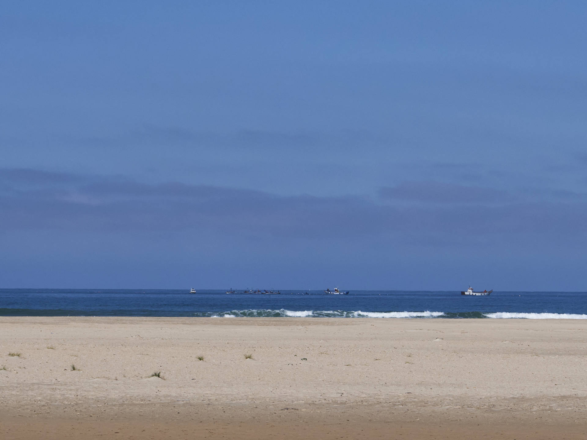 Almadraba im Frühling vor dem Strand Playa de los Bateles Conil de la Frontera.