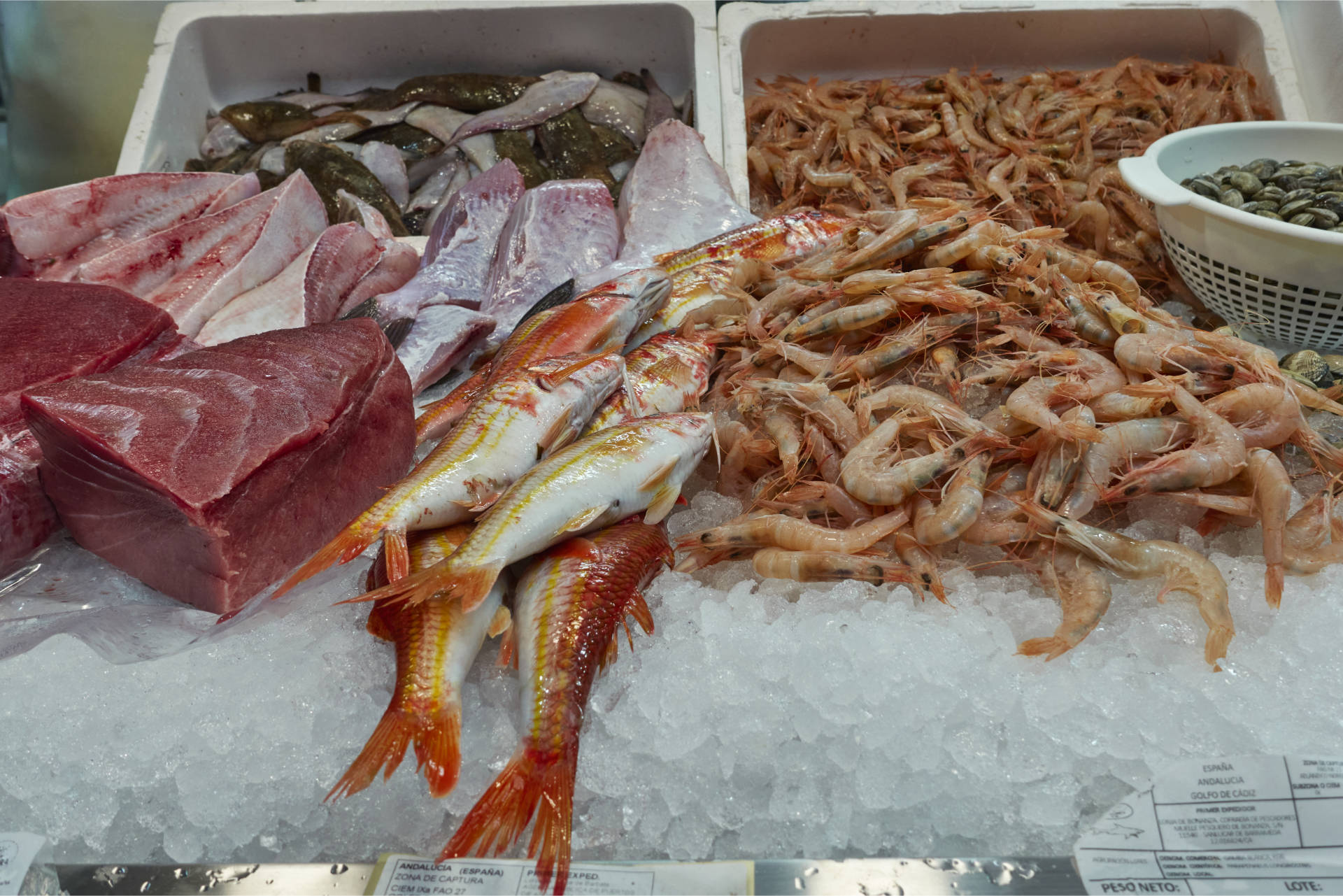 Conil de la Frontera – Mercado Municipal de Abastos.