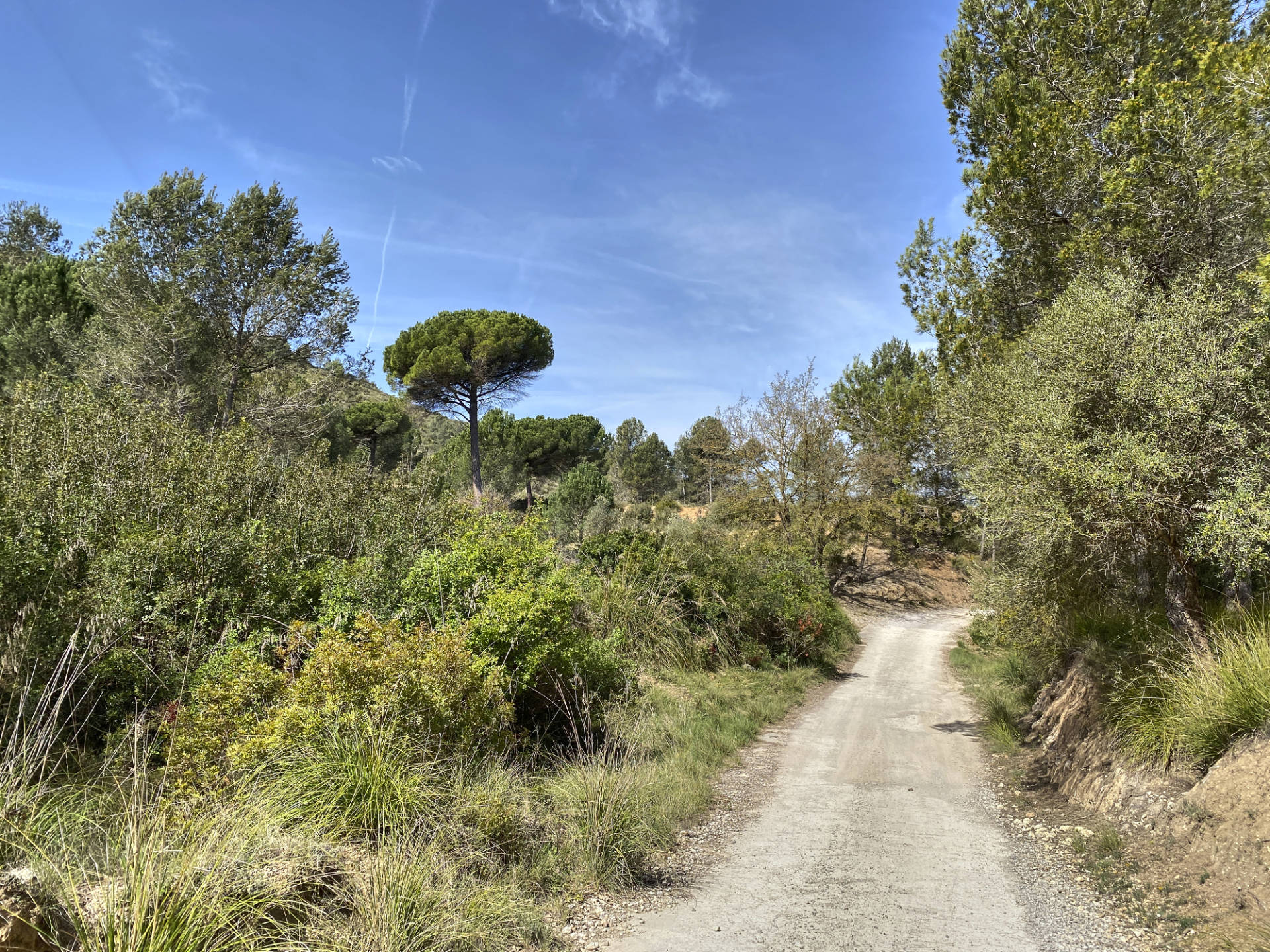 Entlang des Fondo de les Llenties hinauf zum Coll de la Llebreta.