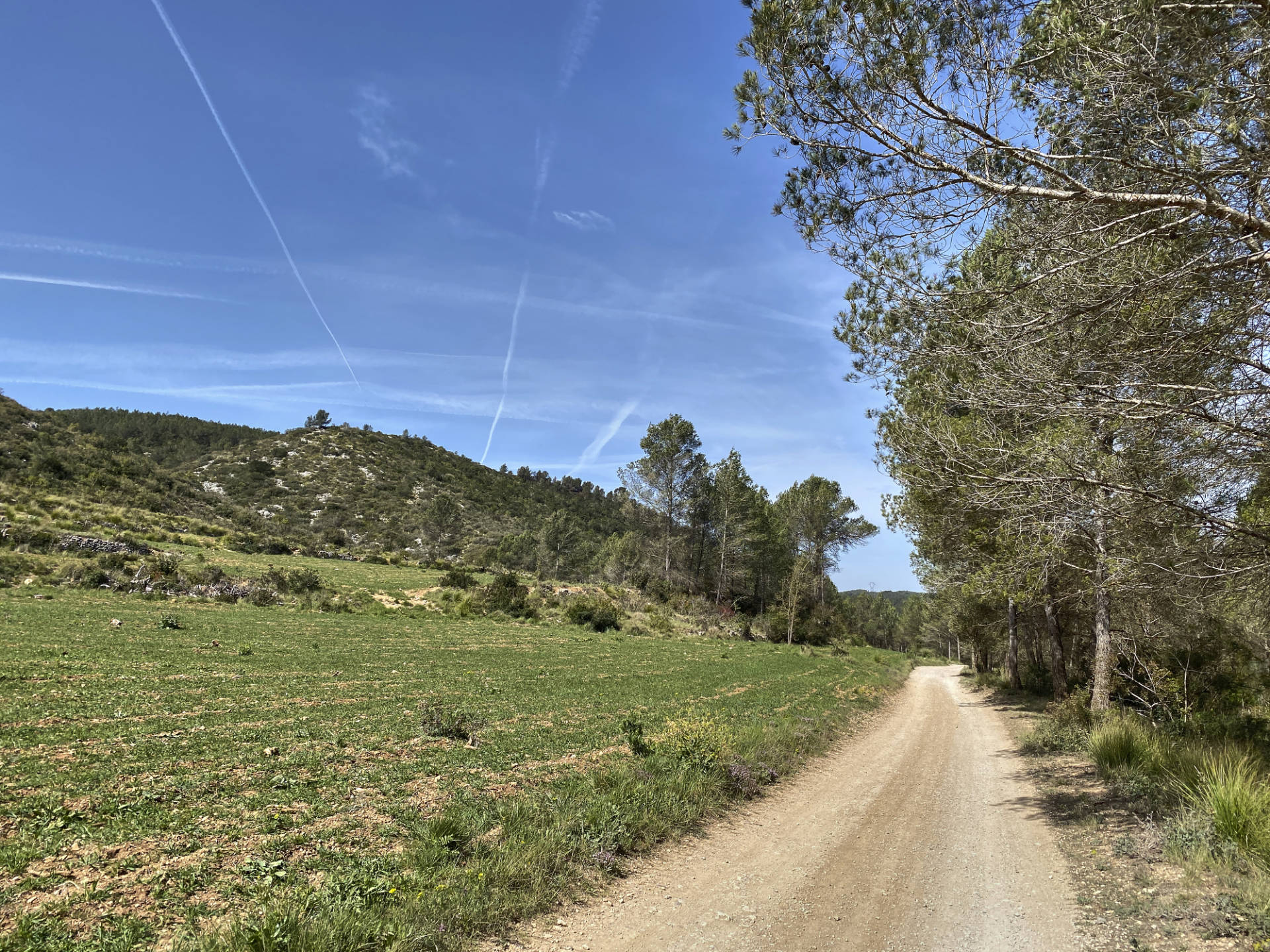 Entlang des Fondo de les Llenties hinauf zum Coll de la Llebreta.