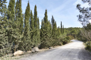 Sakya Tashi Ling – Monestir Budista del Garraf.