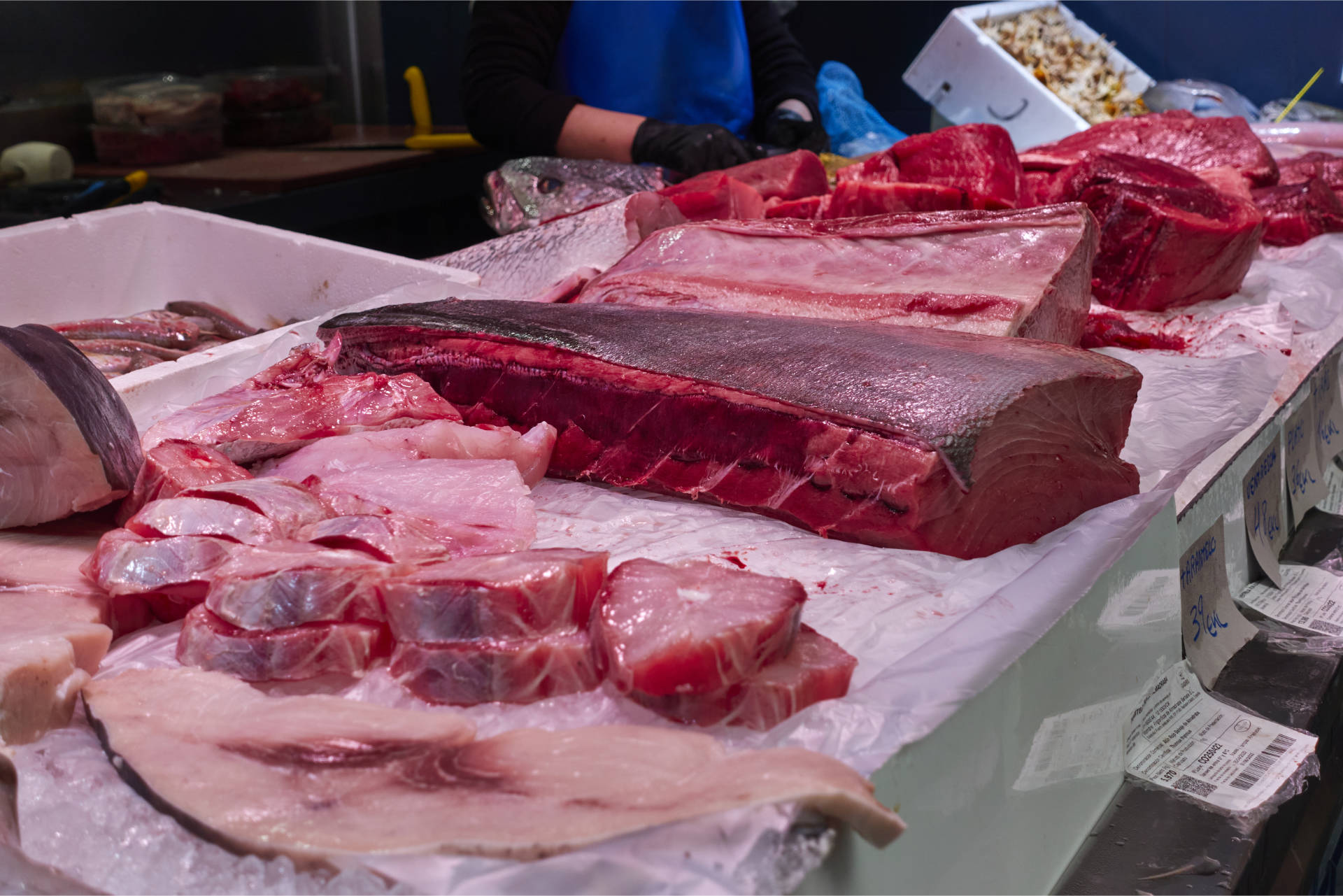 Conil de la Frontera – Mercado Municipal de Abastos.