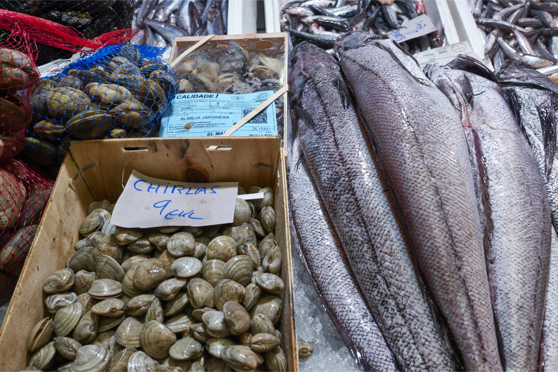 Conil de la Frontera – Mercado Municipal de Abastos.