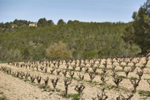 Sakya Tashi Ling – Monestir Budista del Garraf.
