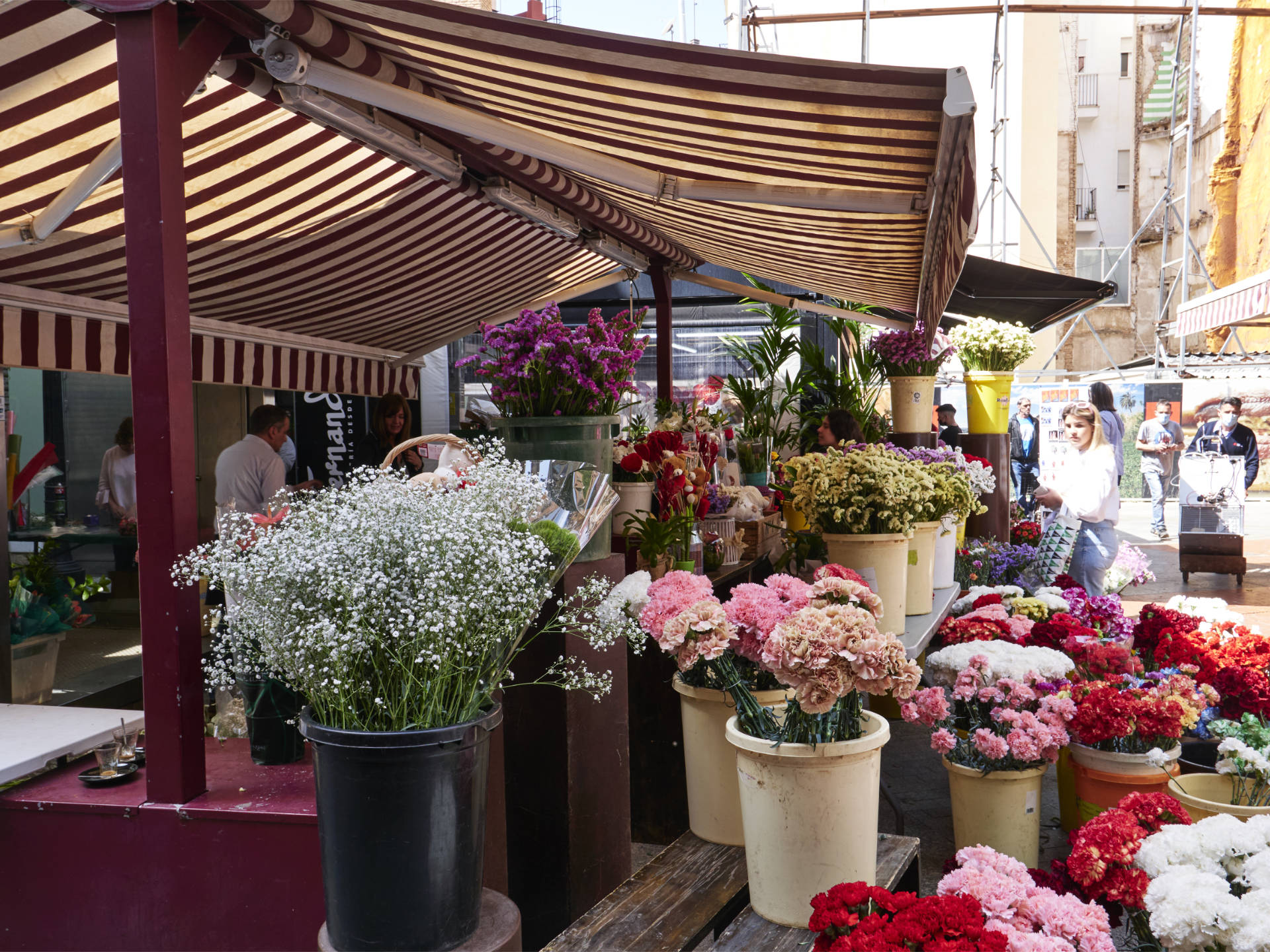 Plaza de las Flores Murcia.