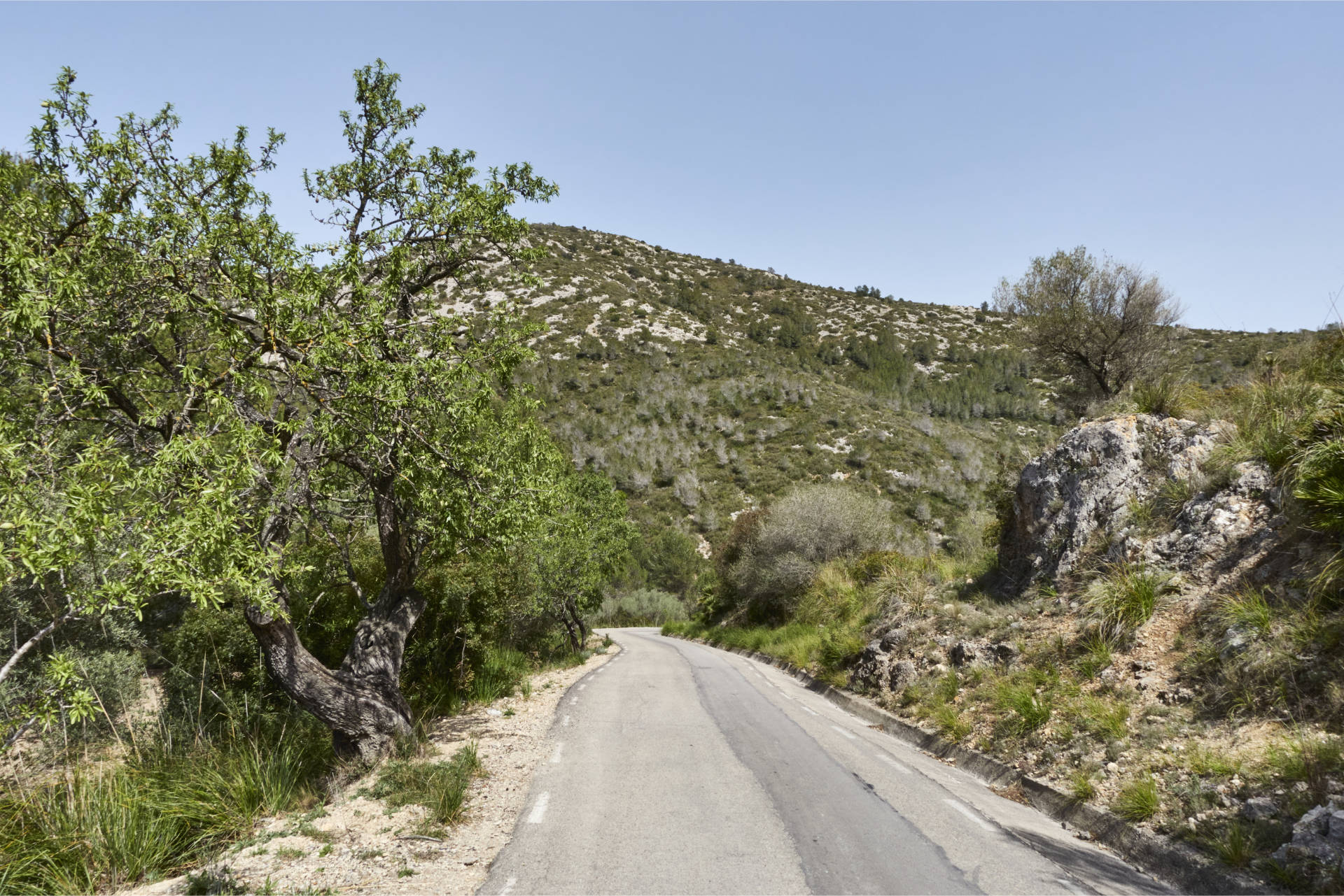 Rasante Abfahrt über die BV-2111 vom Observatorio Astronómico del Garraf.