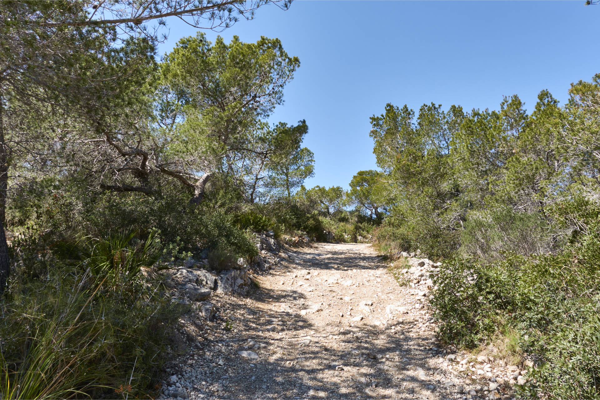 Am Teilstück Camí de les Costes der GR 92, Sendero del Mediterráneo.