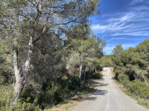 Mit dem Bike von Sitges zum Museu del Ferrocarril de Catalunya.