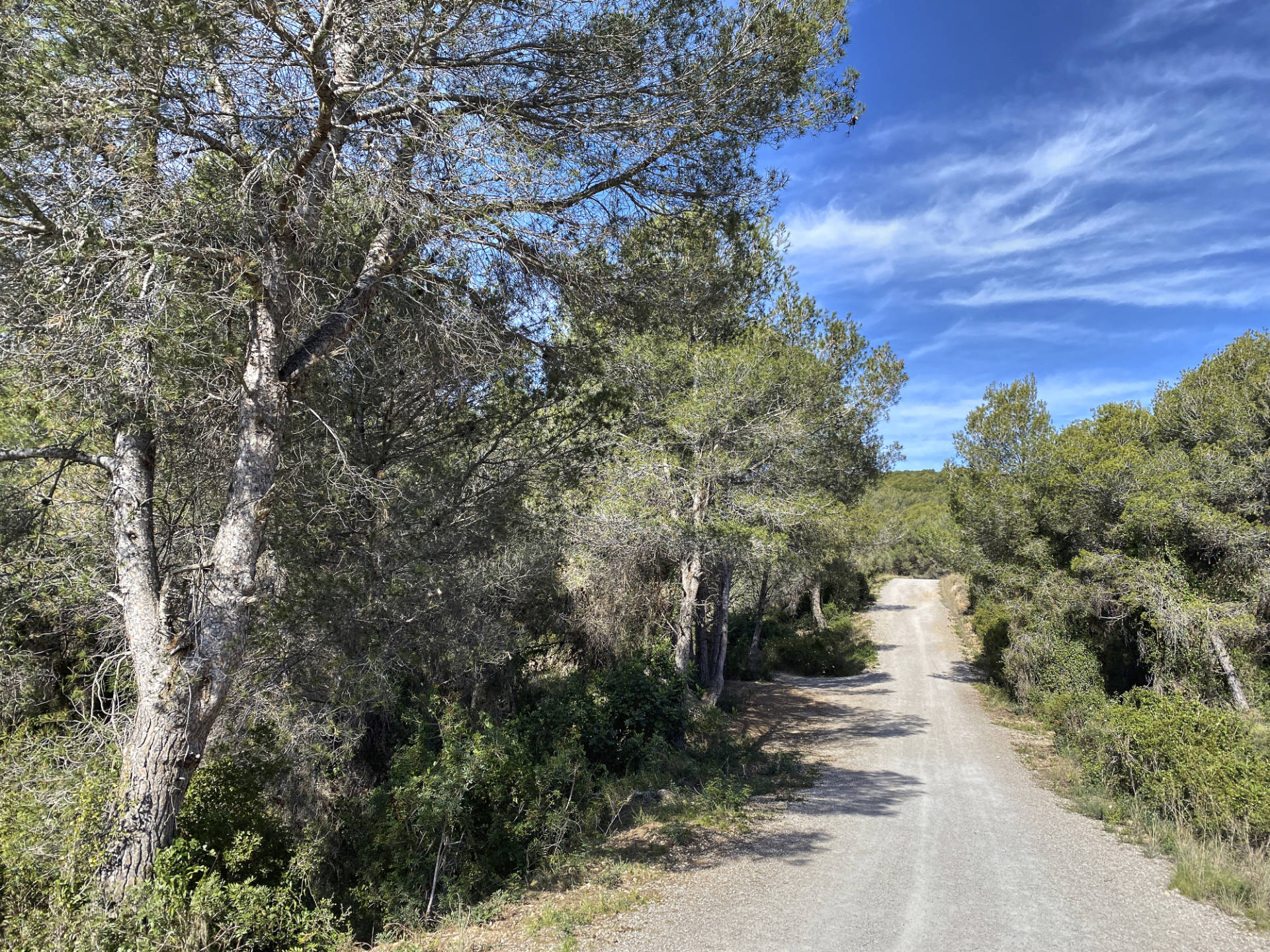 Mit dem Bike von Sitges zum Museu del Ferrocarril de Catalunya.