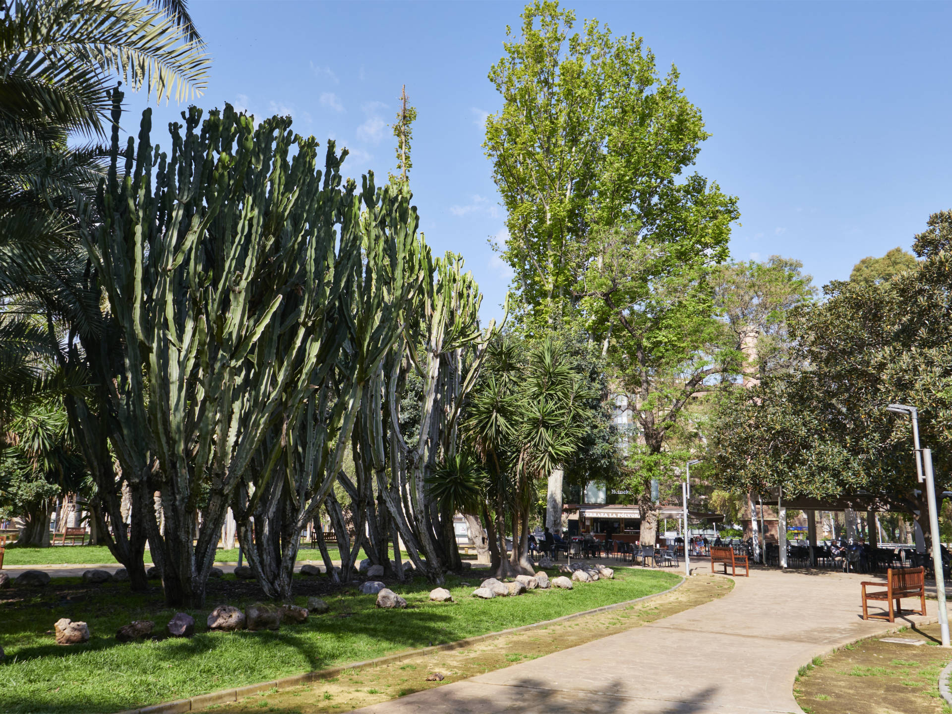 Jardín del Salitre Murcia.