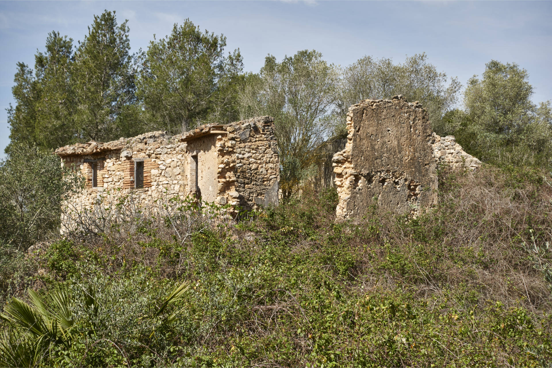 Die Ruinen von Jafre del Garraf.
