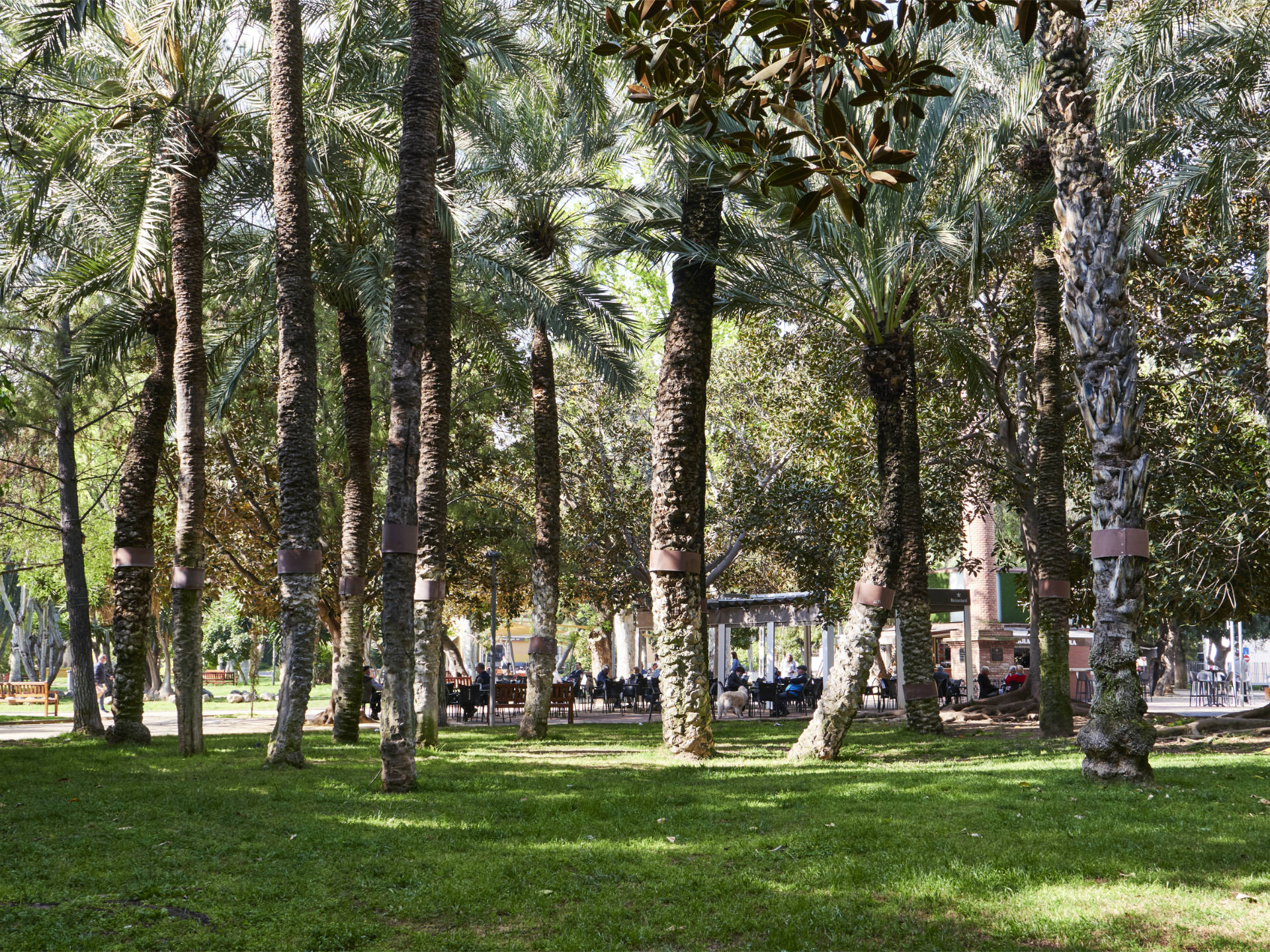 Jardín del Salitre Murcia.