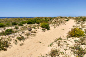 Tiefer Sand am Track Richtung El Atunar.