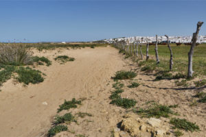 Tiefer Sand am Trail Richtung Torre de Castilnovo.