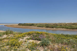 Arroyo de Conilete vor El Palmar.