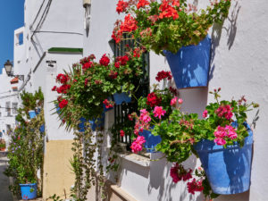 Im wunderschönen Barrio de los Pescadores in Conil de la Frontera.