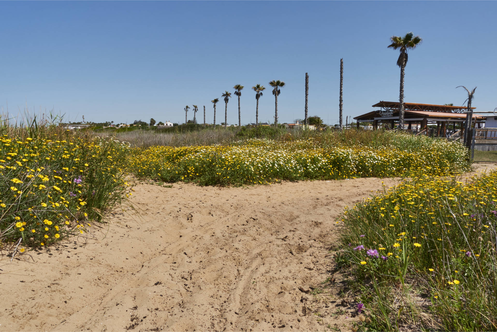 Durch Dünen und tiefen Sand von El Palmar nach El Atunar.