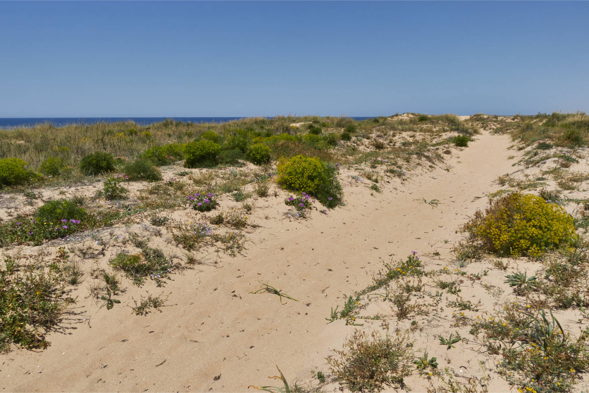 Durch Dünen und tiefen Sand von El Palmar nach El Atunar.