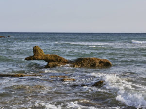 Skurille Objekte am Cala del Frailecillo Conil de la Frontera.
