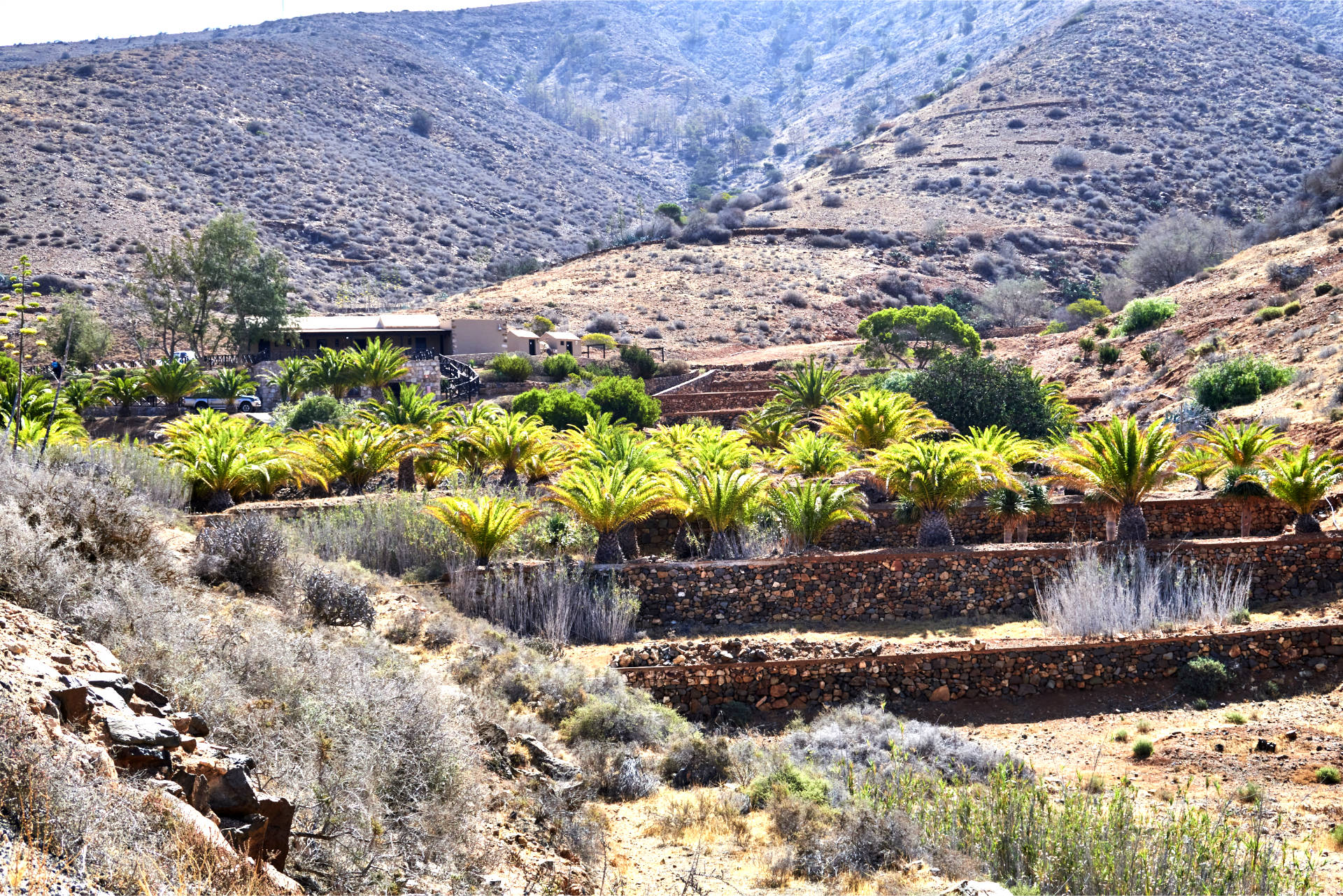 Die Jugendherberge Aula de la Naturaleza Parra Medina im Barranco de Acebuche.