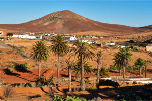 Der Landwirtschaftsort Toto auf Fuerteventura.