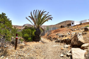 Durch den Barranco de Betancuria Richtung Vega de Río Palmas.