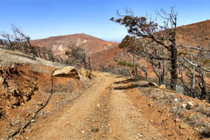 Aus dem Barranco de los Charcos und dem Parque rural Castillo de Lara hinauf zum Degollada de los Pasos (569m).