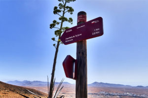 Am Degollada de los Pasos (569m).