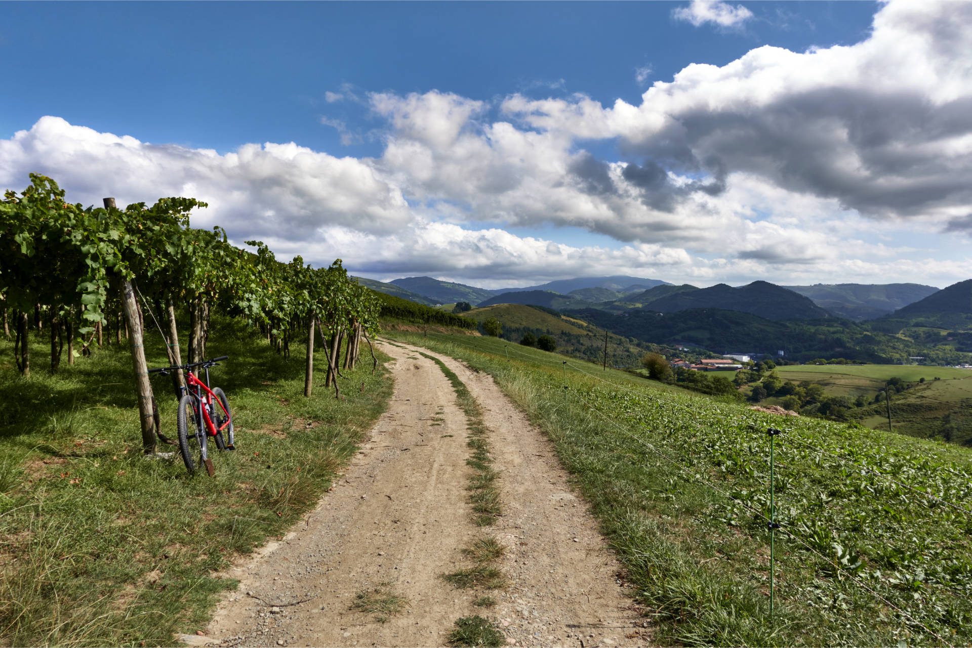 Durch wunderbare Landschaft vorbei an Weinreeben.