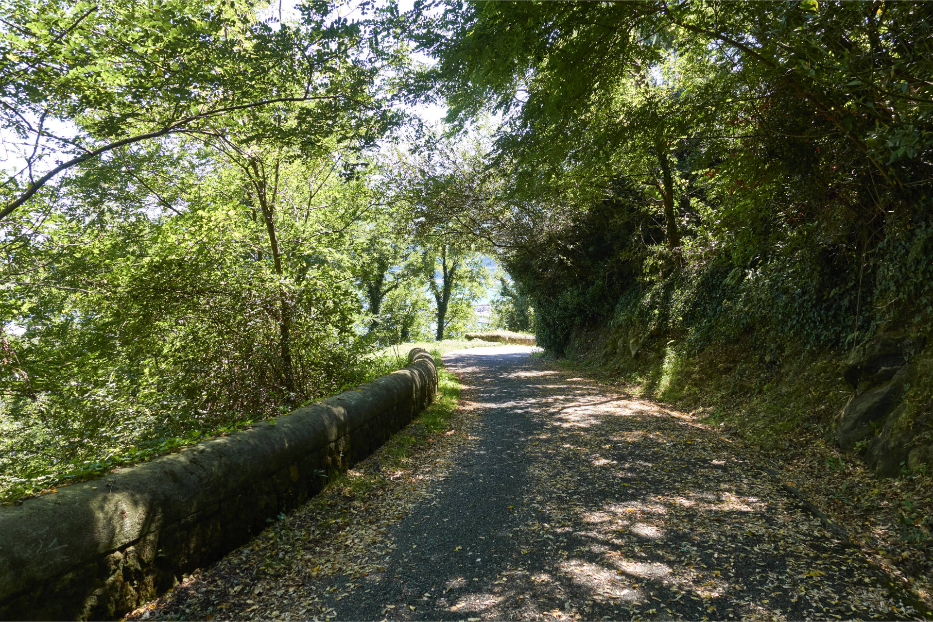 Hinauf zum Mont San Anton und seinen Leuchtturm.