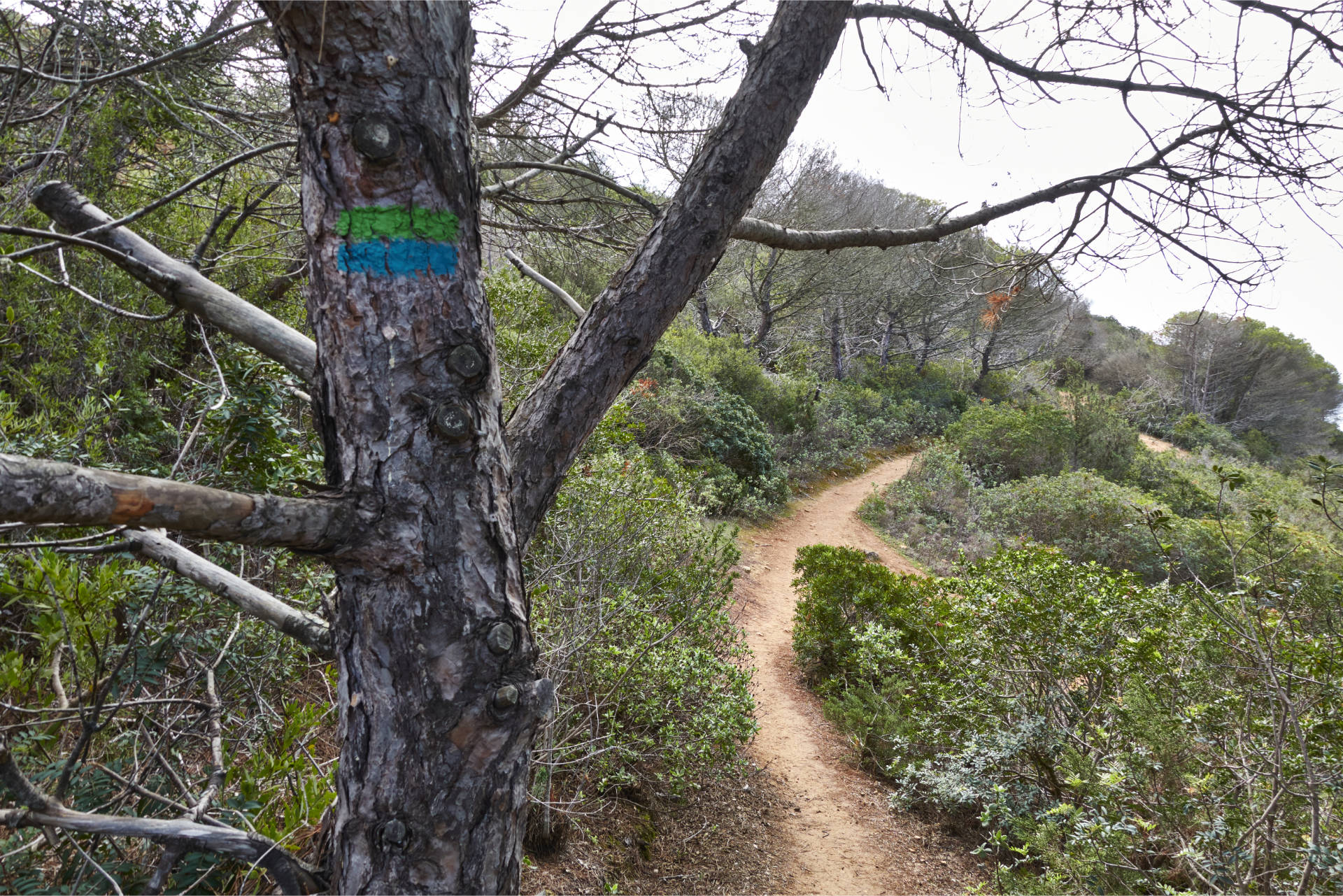 Die 100 Höhenmeter sind am guten Trail schnell überwunden.