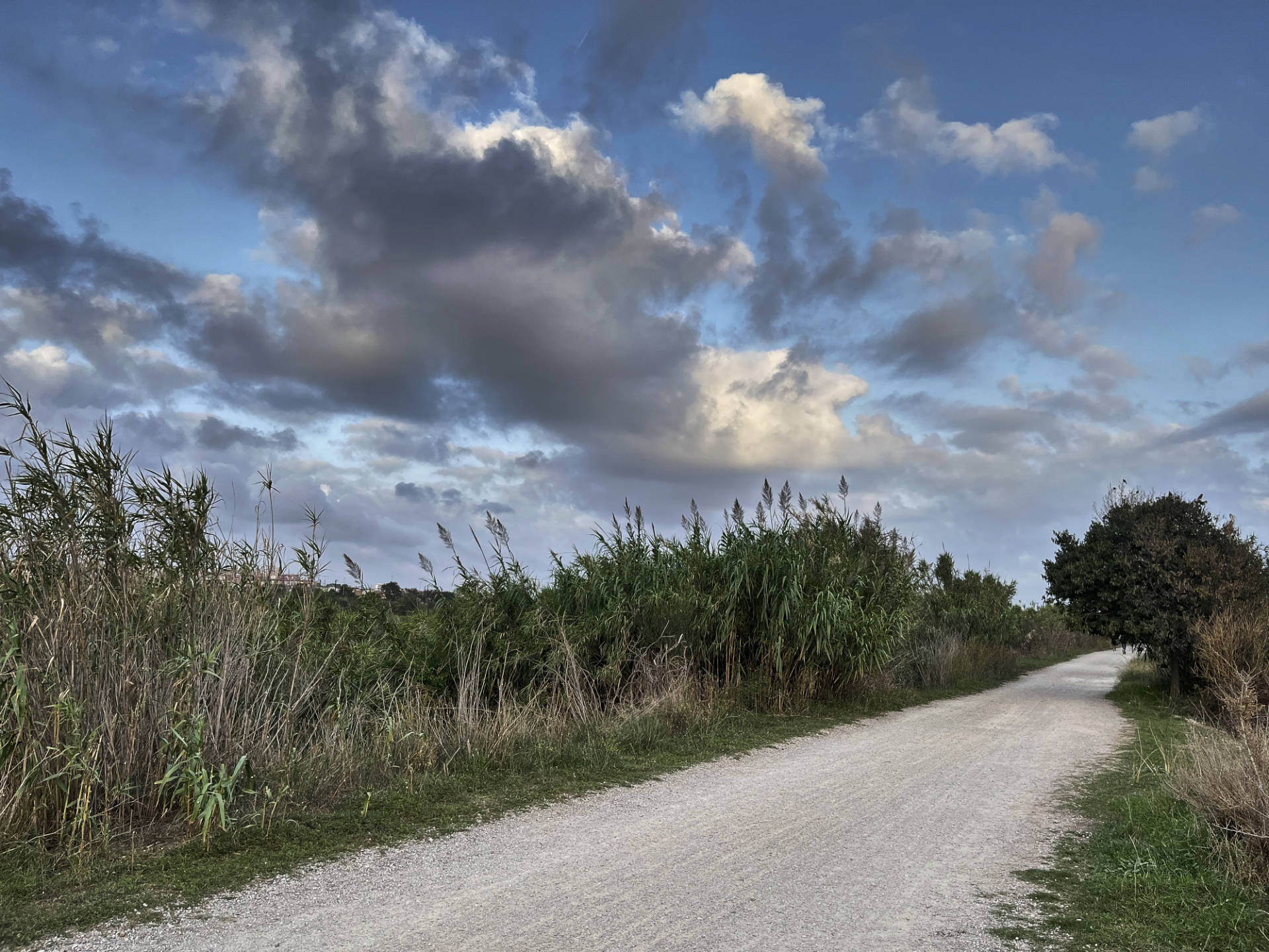 10 K am Damm durch das Riu Llobregat Delta.