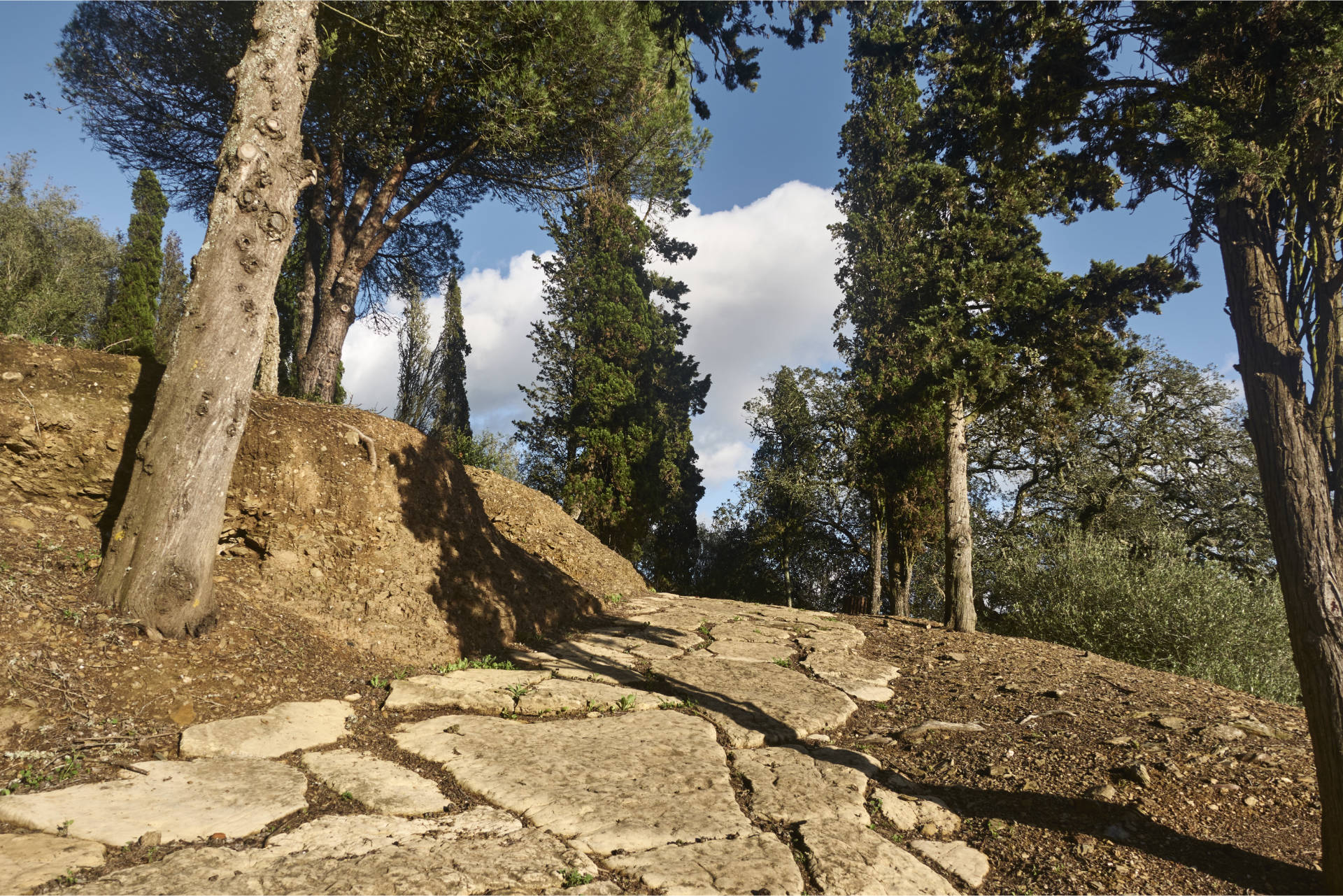 Der gepflasterte Weg hinauf zum Gästehaus, Forum und Tempel der Ruinas de Miróbriga Santiago do Cacém Portugal.